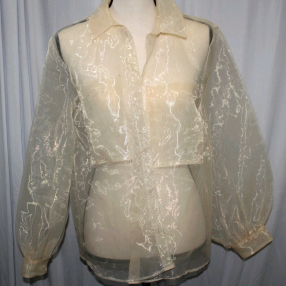 Sheer Blouse Organza Button Up - Picture 2 of 2